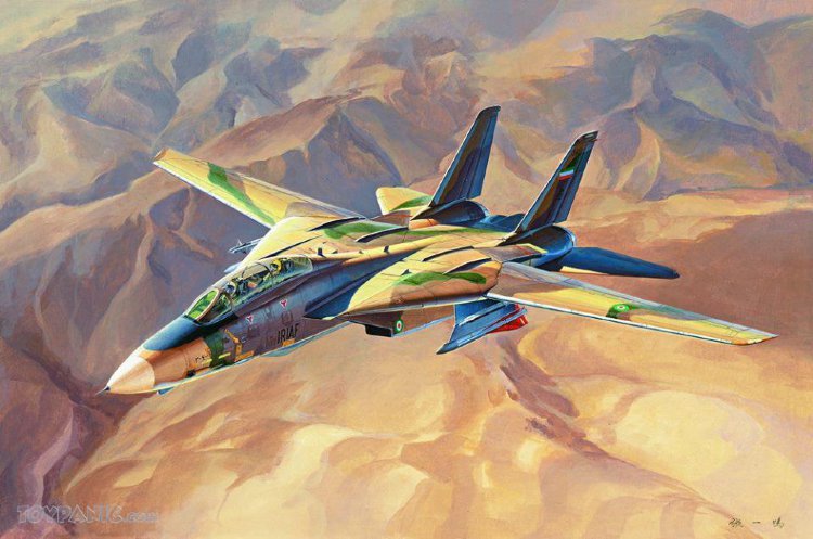 F-14A TomCat - IRIAF "Persian cat"  сборная модель 1/48