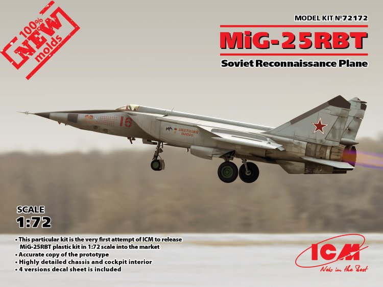 Mig 25 RBT soviet aircarft recon