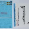 Mikoyan MiG-29UB Ukranian Air Forces digital camouflage decals