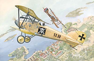 Albatros D.III Oeffag s.53 истребитель сборная модель