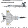 MiG-25RB Ukrainian Foxbats decals