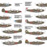 Red Snake: Soviet P-39 Airacobras  and Stencils