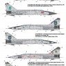 Ukrainian Foxbats: MiG-25