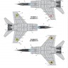 Ukrainian Foxbats: MiG-25