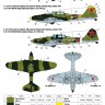 Ilyushin IL-2 Flying Revenge (early type) Part I decals set