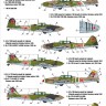 Ilyushin IL-2 Flying Revenge Part II decals set