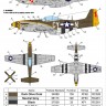 P-51 Mustang North American Nose art Part 1 decals