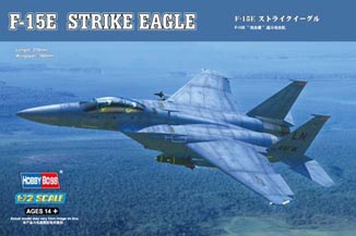 F-15E Strike Eagle Strike fighter