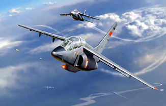 Alpha Jet A/E   2 in 1 Легкий штурмовик
