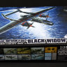 P-61B "Black Widow" Last Shoot Down 1945