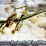 Fw-189 A2 WWII German recon plane