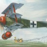 Fokker Dr.I fighter model kit