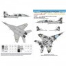 48-086 MiG-29 9-13 Digital falcons decals